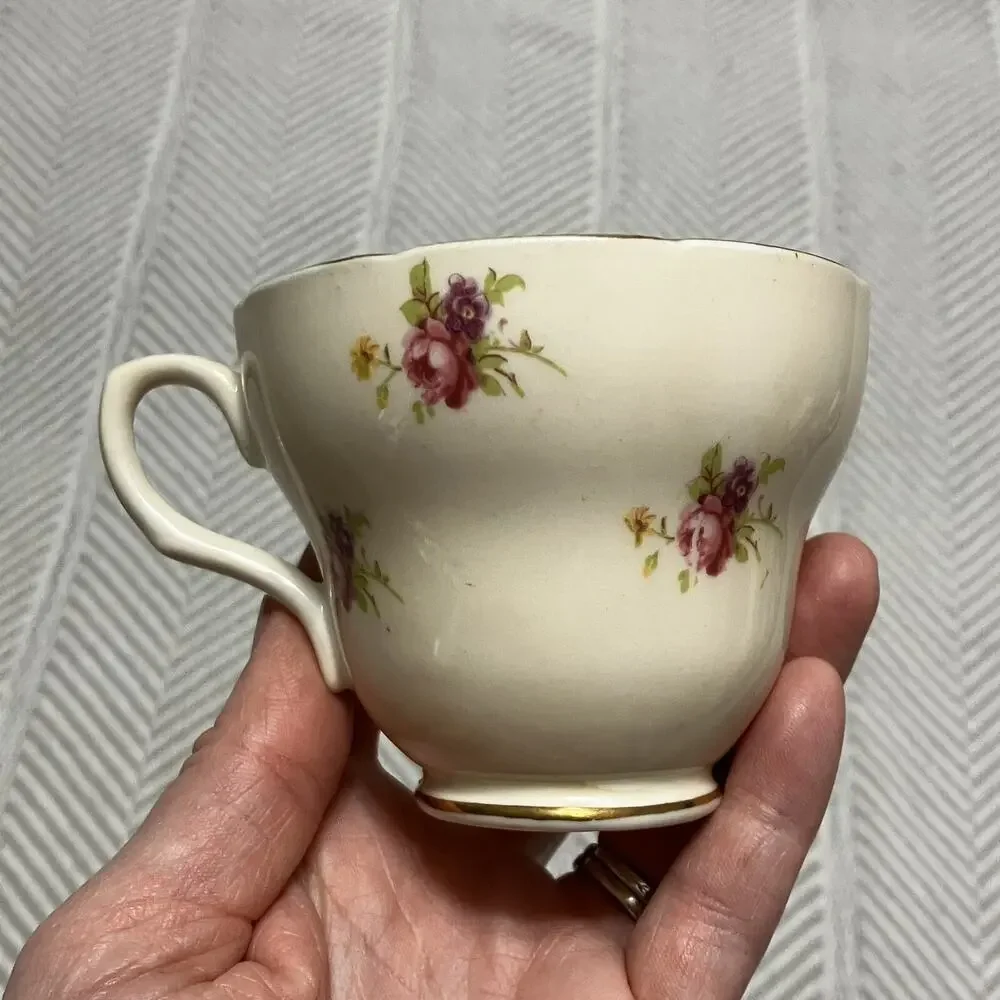 Foley Bone China Rosette Pink and Biqsue Teacup and Saucer Set Yellow Interior